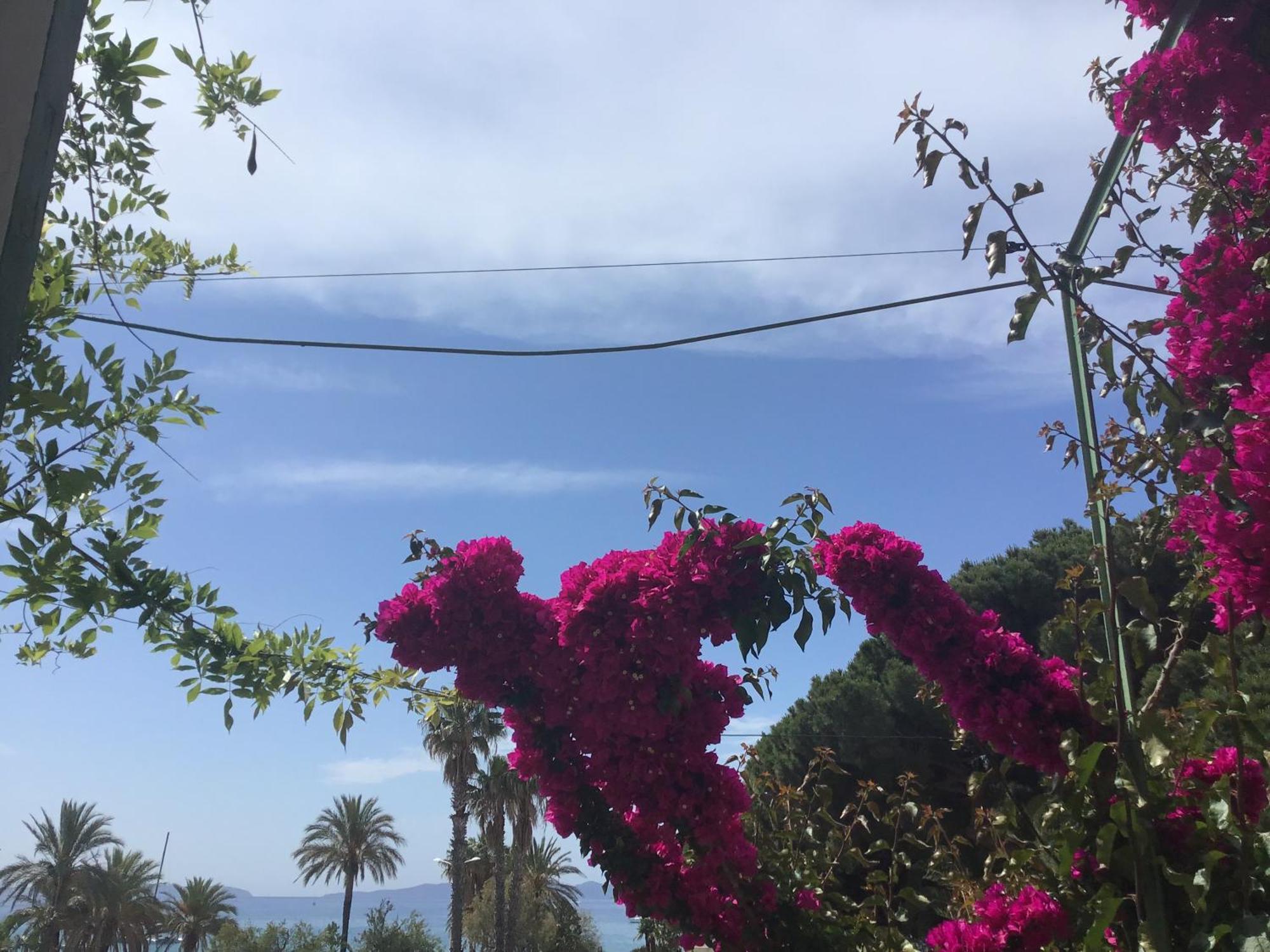 فندق L'Ilot Fleuri لو لا فاندو المظهر الخارجي الصورة